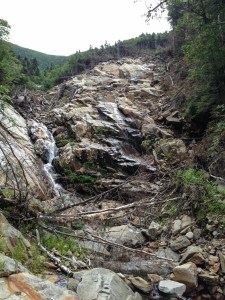 Center section of slide