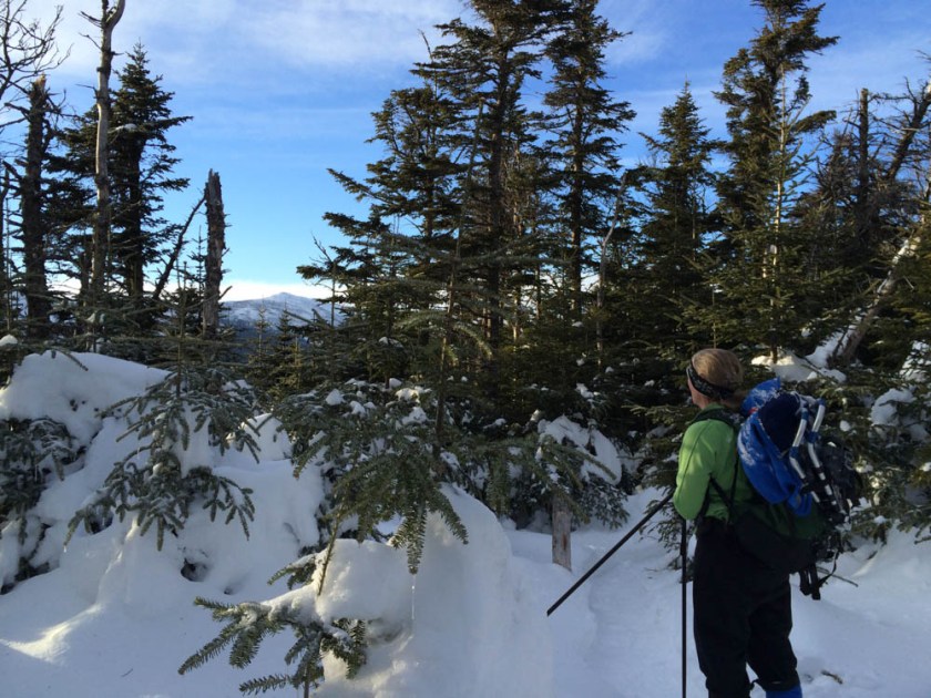 Near the summit of Owl's Head