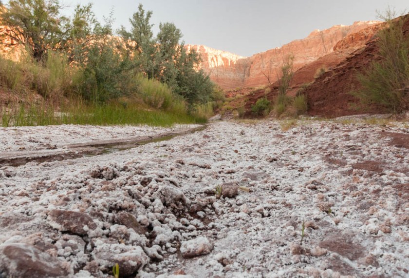 A dry and salty wash near Cliff Dweller's Lodge.
