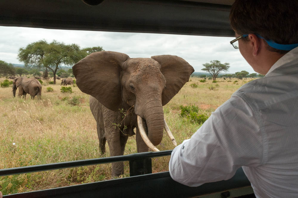 Tanzania safari