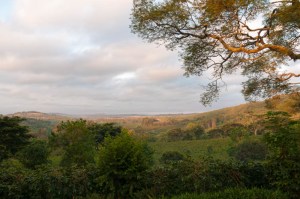 Sunrise at Gibbs Farm hotel, near Ngorogoro.