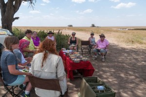 Picnic lunch in the Serengeti