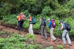 The trekkers make their way up the forested trail.