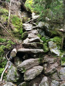 An example of the rugged trail along Wildcat ridge, and the impressive rockwork needed to support hikers.  It's even steeper than this photo makes it look!
