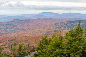 Fall colors from summit of Cardigan.