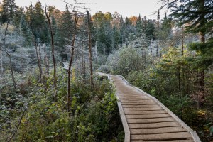A frosty bridge over a bog near the beginning of the trail to Marcy Dam.