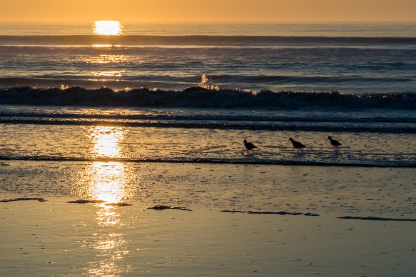 Christmas sunrise on Kiawah Island.
