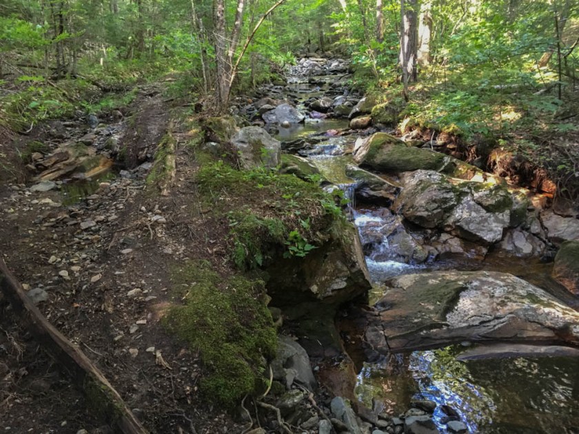 The Ranger Trail spends some time following the main branch of Grant Brook.