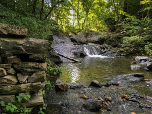 A pretty waterfall forms a nice swimming hole, just below Route 10.