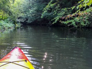 Grant brook is navigable pretty far, at least by kayak.