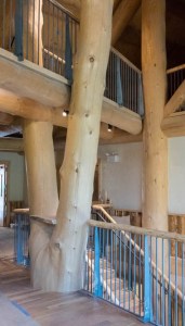 2017-09-09-00134-crop