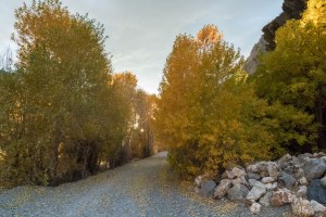 Late afternoon light, late fall colors, Big Cotton Canyon, Utah.