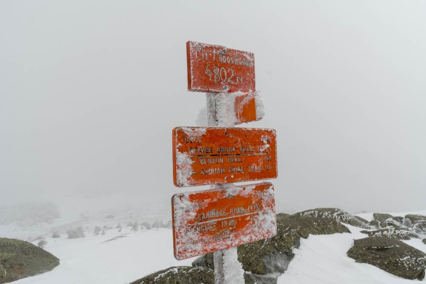 The summit of Moosilauke on a rather cloudy winter's day.