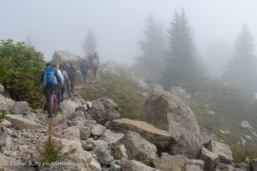 An ethereal landscape, above treeline but in the fog.