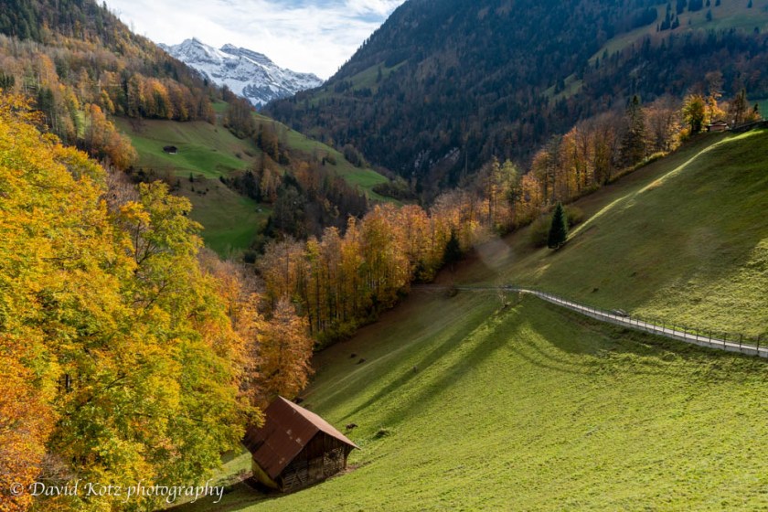 Pasture near the Paxmontana Hotel, Flueli-Ranft, Switzerland.