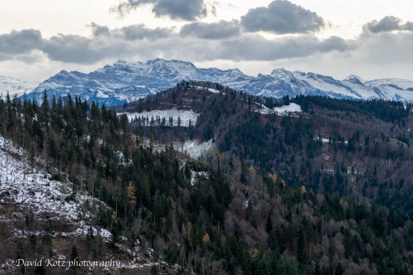 View of the Glarusalps from the descent of Schnebelhorn.