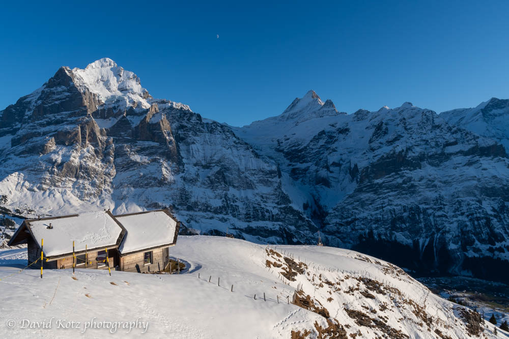 Wetterhorn (left) and Schreckhorn (center), from First... above Grindelwald.