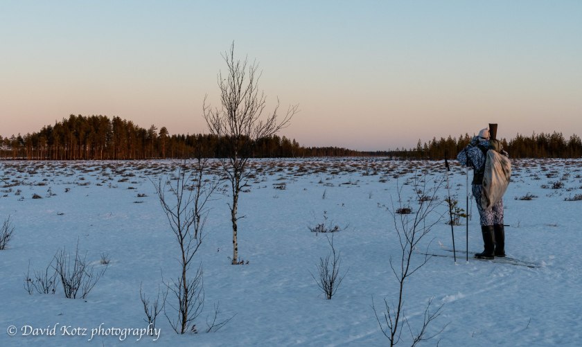 Timo scanning for grouse in the wetlands outside Oulu.
