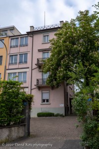 The chestnut tree outside our flat is in bloom.
