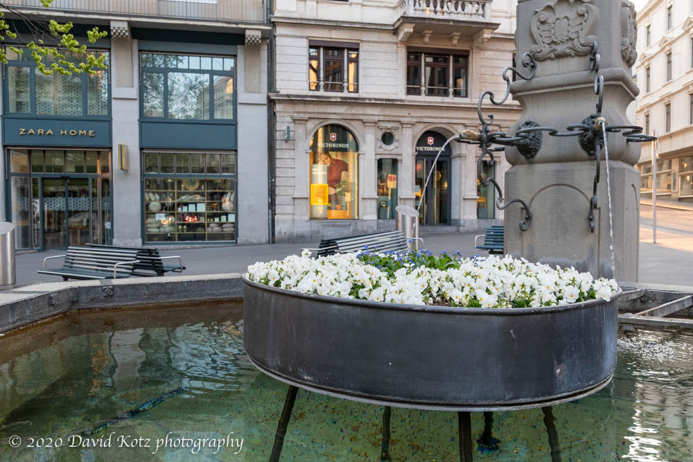 One of many public fountains in ZĂĽrich.