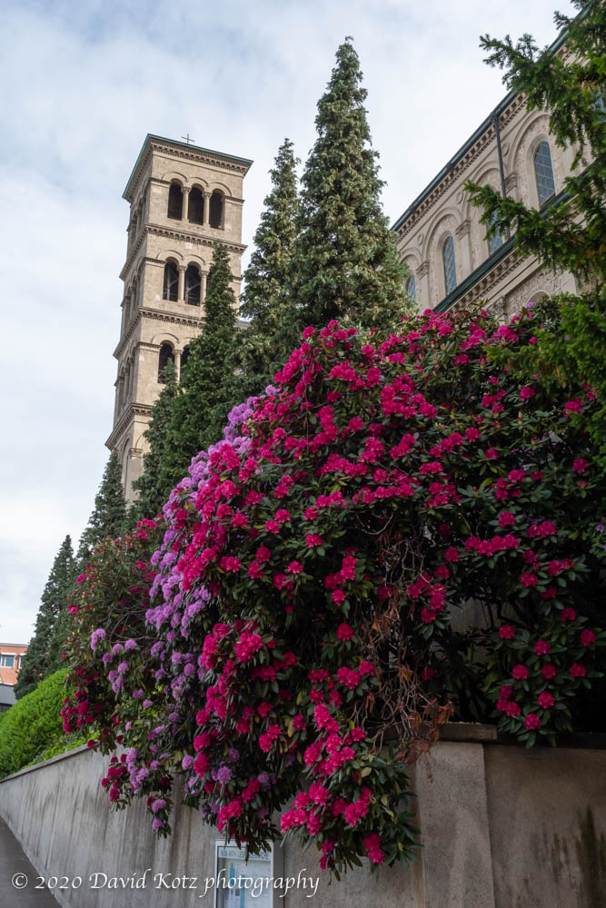 Liebfrauen Kirche, near our flat, Zurich.