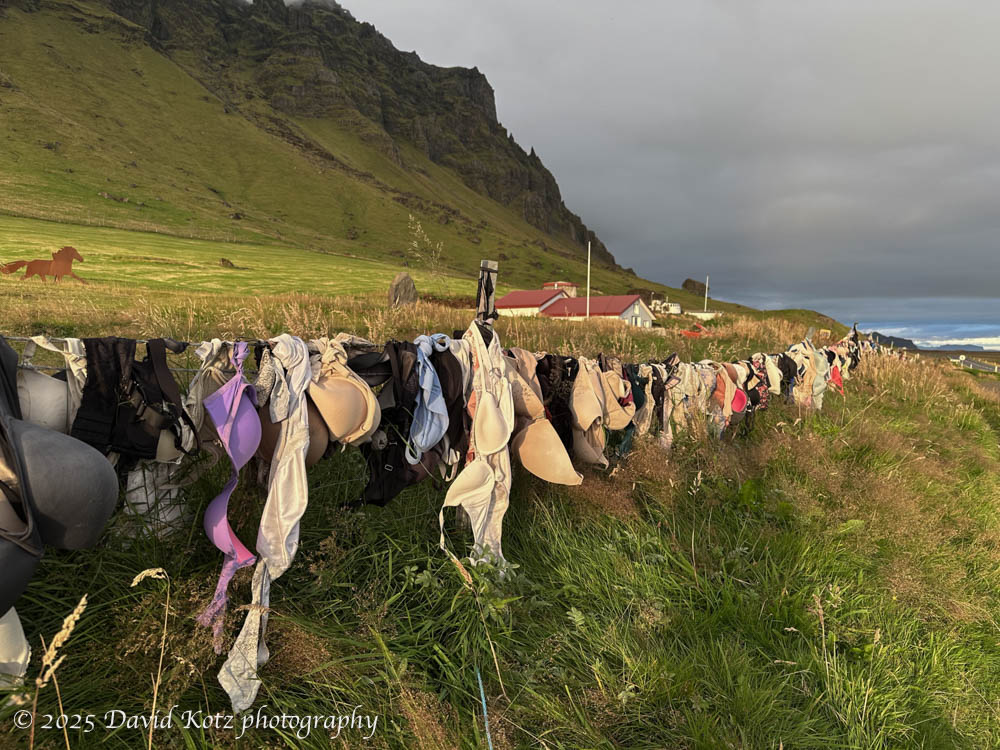 photo of hundreds of bras tossed over a farm fence.