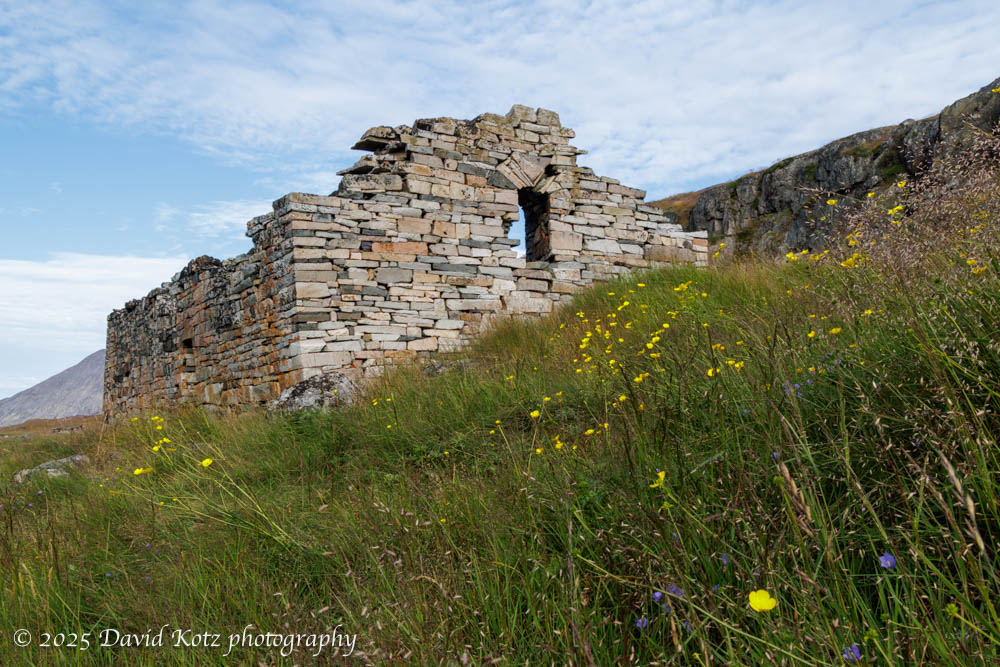 photo of the ruins of the church at Hvalsey, with wildflowers in the foreground