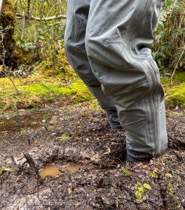 two legs, deep in the mud