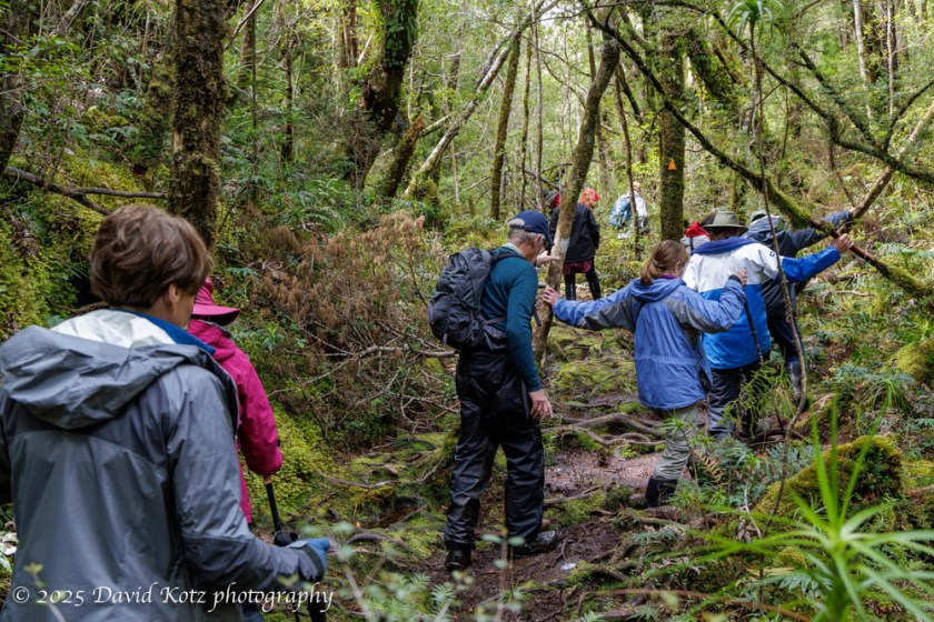 several people on a muddy trail in the rainforest