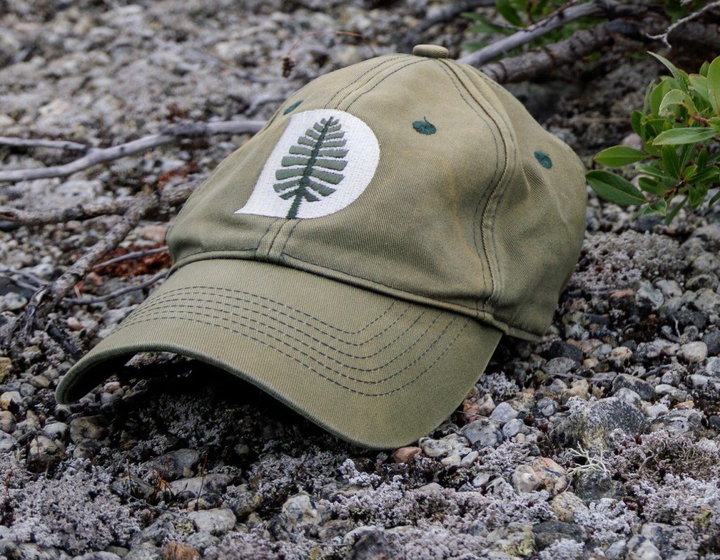 photo of my Dartmouth cap - a green baseball cap with a Dartmouth logo on the front - resting on gravel and lichen in Greenland.