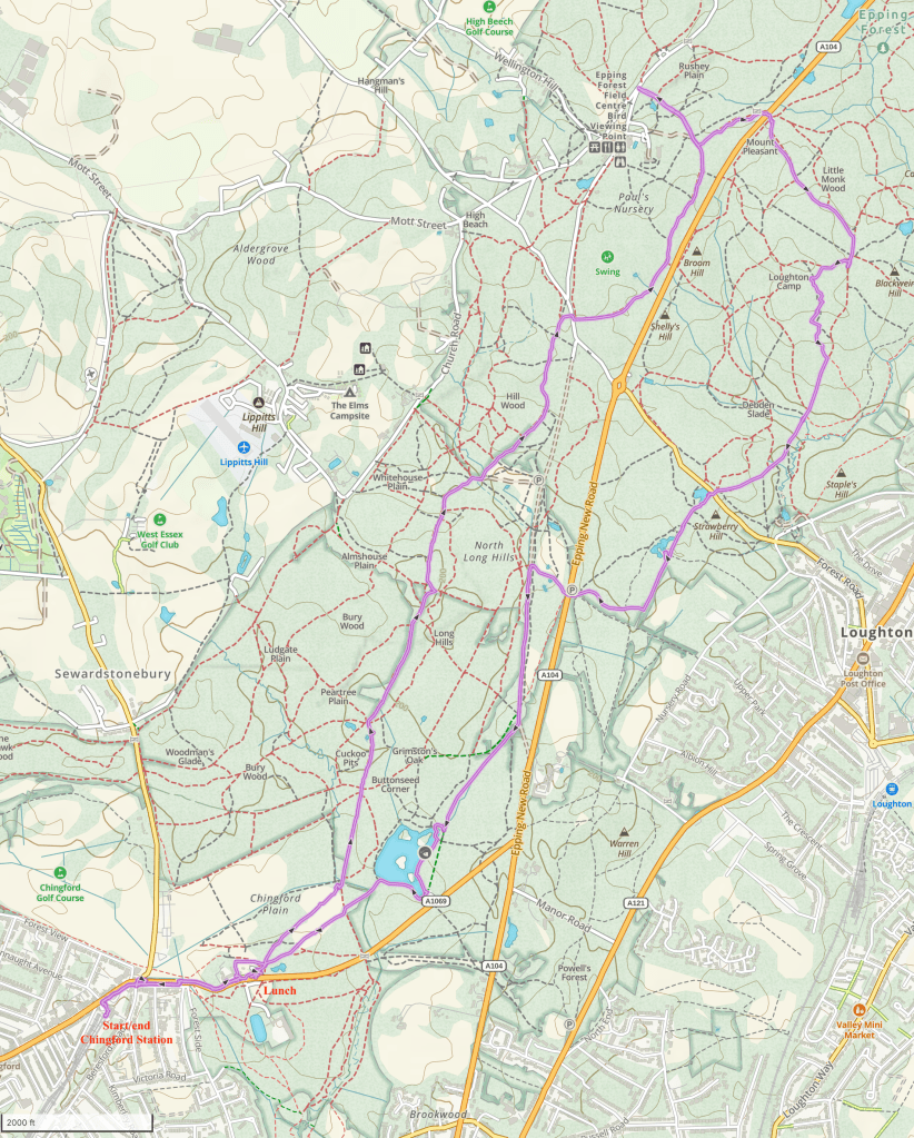 map of Epping Forest, showing my route