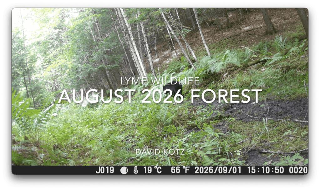 still image with link to full video